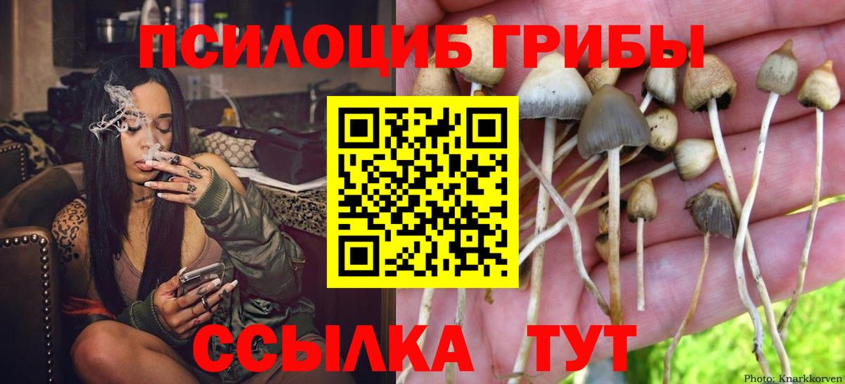 Галлюциногенные грибы Кострома
