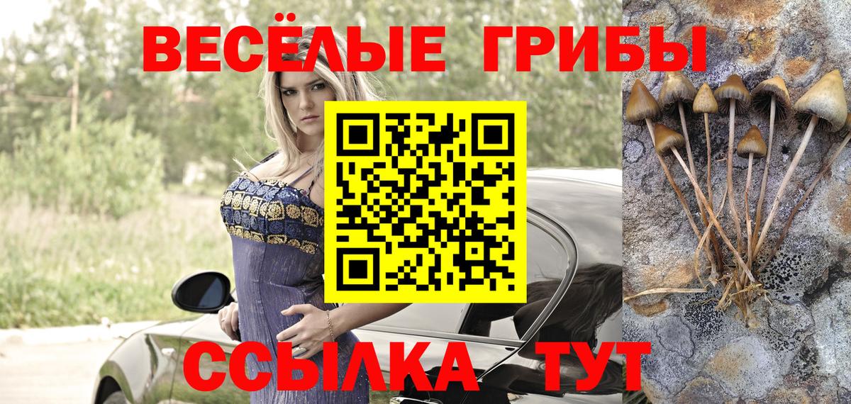 Кострома  магазин продажи   Вход с VPN  Галлюциногенные грибы мицелий 